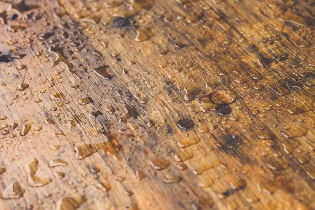Can Engineered Wood Floors Get Wet, Spilled Water On Engineered Hardwood Floor