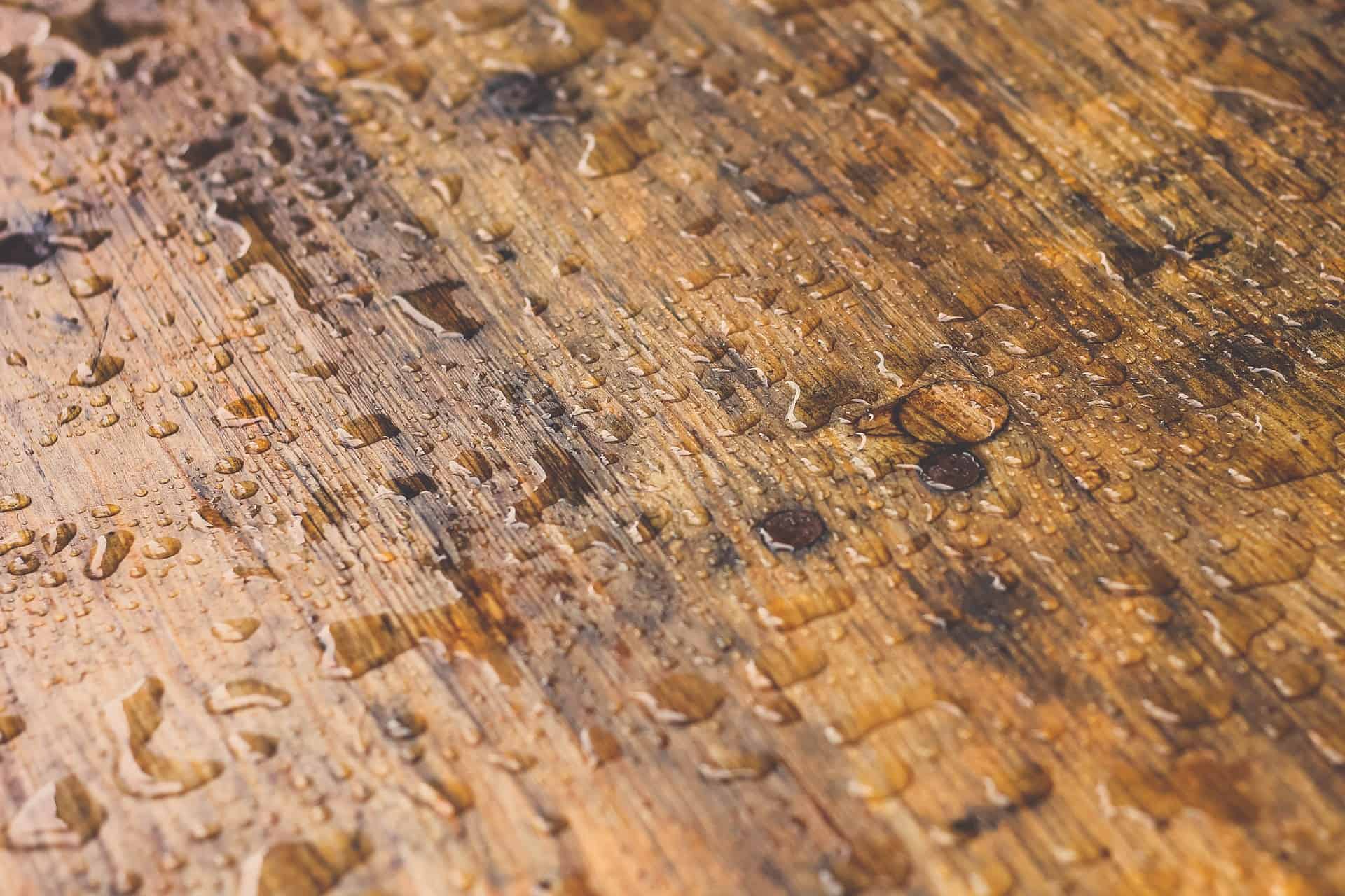 Can Engineered Wood Floors Get Wet All About Materials