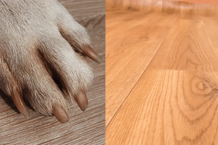 Are Vinyl Plank Floors Durable And, Is Vinyl Plank Flooring Good For Dogs